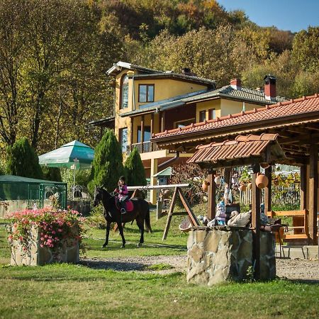 Guest House Alfa Daniel Balkanets  Buitenkant foto