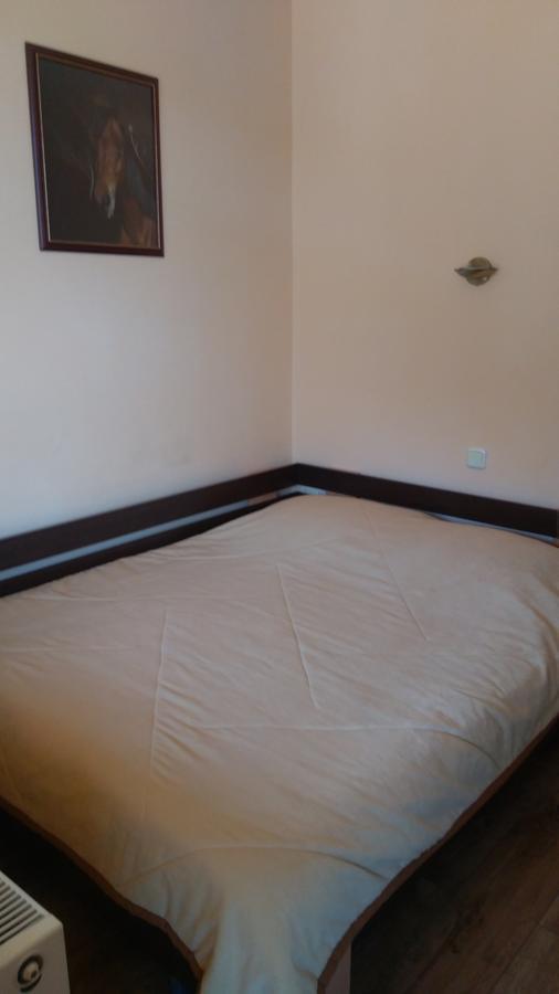 Guest House Alfa Daniel Balkanets  Buitenkant foto