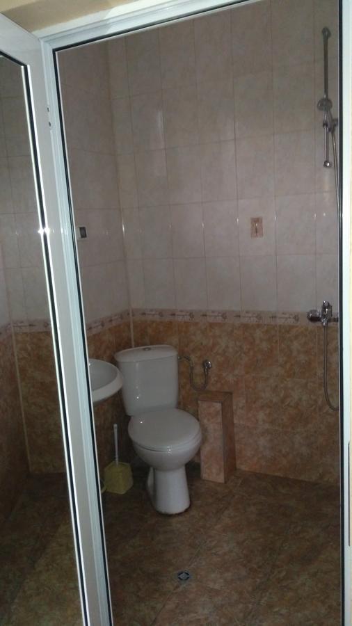 Guest House Alfa Daniel Balkanets  Buitenkant foto