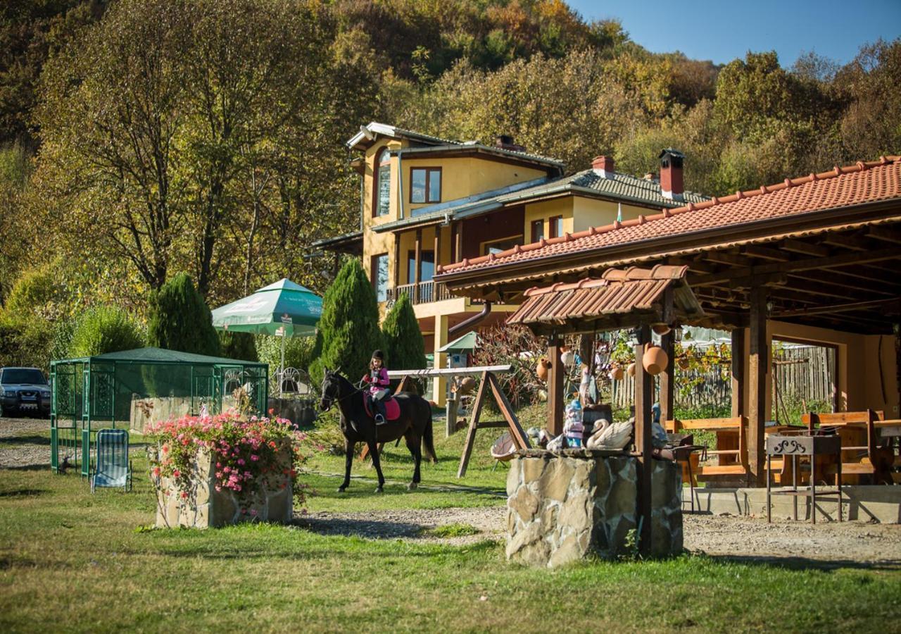 Guest House Alfa Daniel Balkanets  Buitenkant foto
